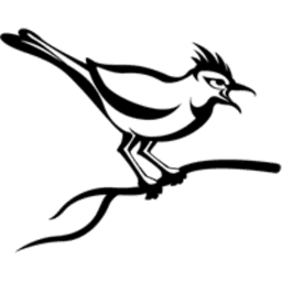 Cuckoo Sandbox