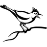 Cuckoo Sandbox